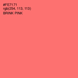 #FE7171 - Brink Pink Color Image